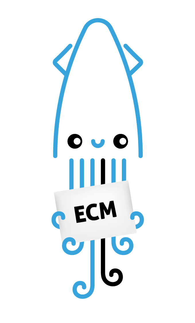 Piattaforma ECM Piattaforma ECM